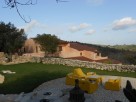 10 Peaceful Cottages on an estate in Aldeia de Cima, Central Portugal